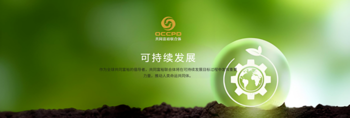 全球华人华侨共同富裕联合体打造一个多元主体共建共享、共创共富的平台，